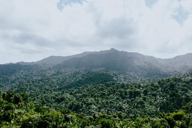 paul-torres-vKr8jBrnMqI-unsplash