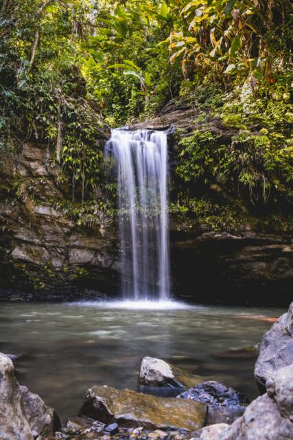 wenhao-ryan-Tfkx4W37xuI-unsplash